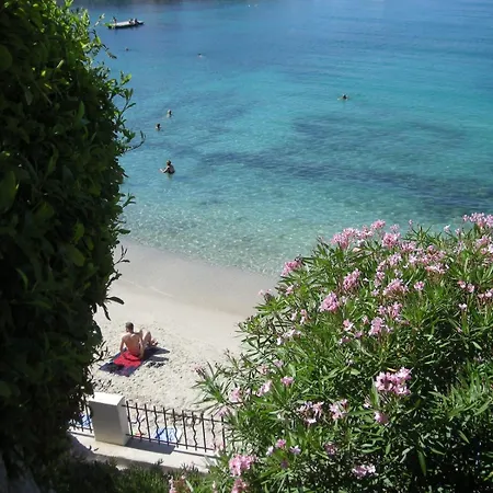 Les Algues, Les Pieds Dans L'eau Sur La De Renecros Bandol