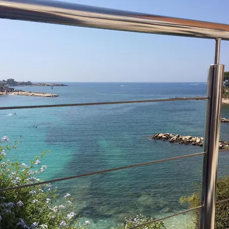 Les Algues, Les Pieds Dans L'eau Sur La De Renecros *