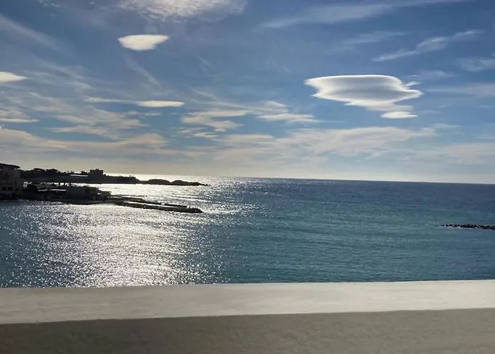 Les Algues, Les Pieds Dans L'eau Sur La De Rènecros *